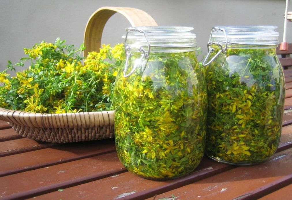 St. John's wort infusion for cervical osteochondrosis
