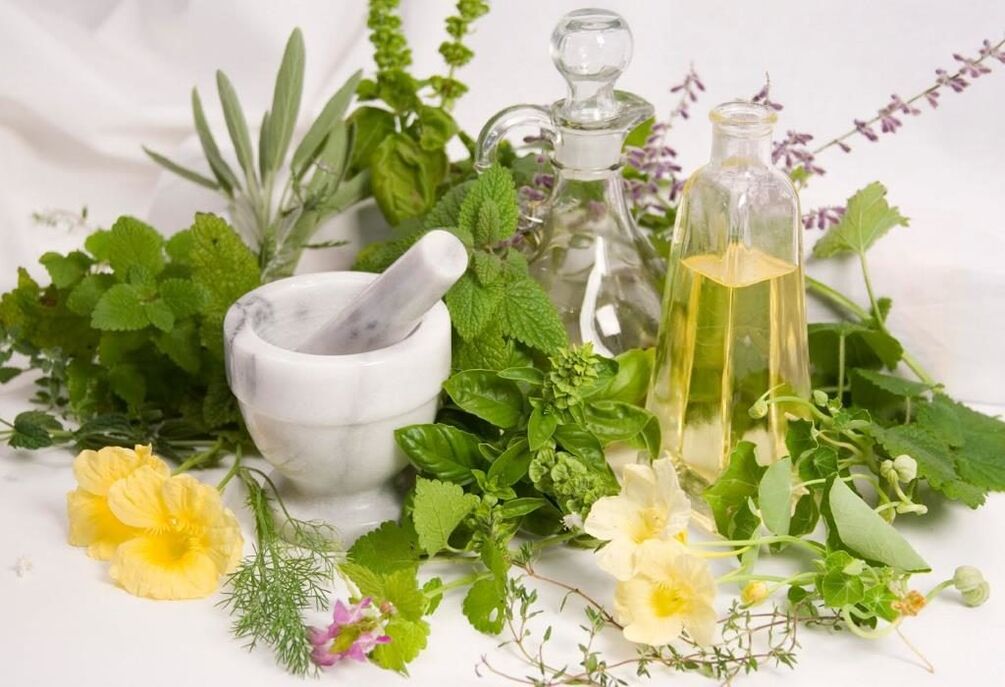 herbs for the treatment of cervical osteochondrosis